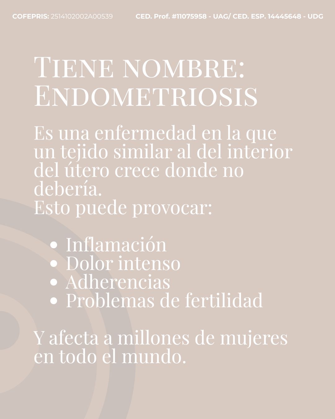 Dividida 5 (2)