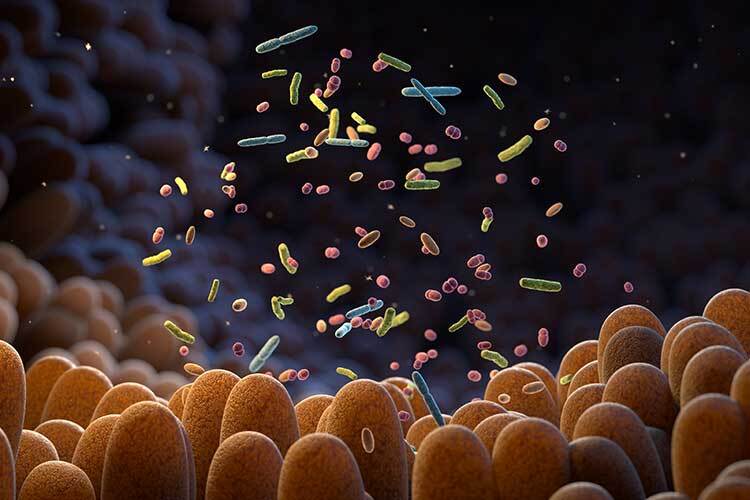 que-es-el-microbioma